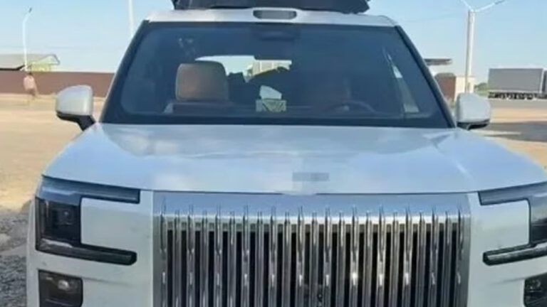 Haber gorseli