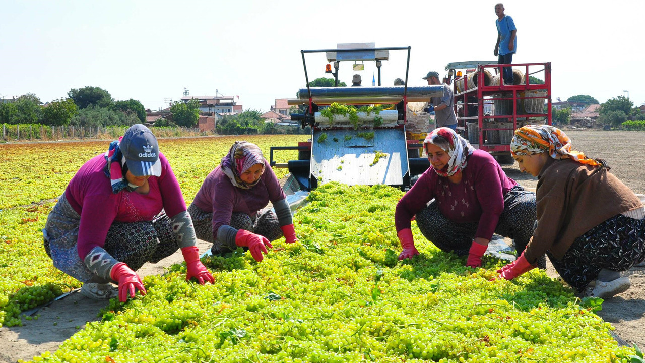 haber-gorseli-1786780704040